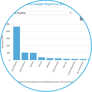 Campaign Audience Insight